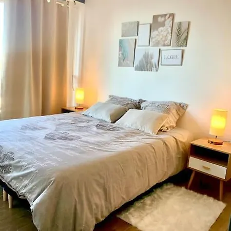 Lumineux Et Cosy, 2 Mn Gare, 2mn Muse, 5mn Centre,parking Appartement Metz