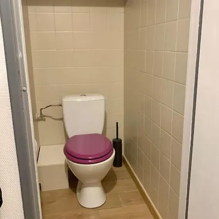 Lumineux Et Cosy, 2 Mn Gare, 2Mn Muse, 5Mn Centre アパート メス